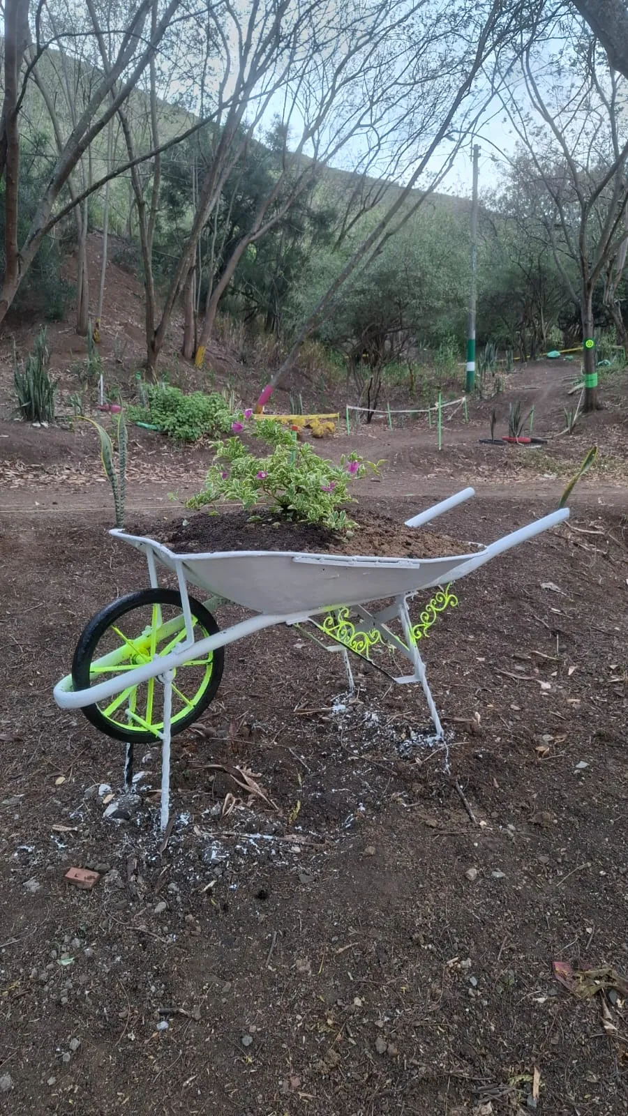 Carretilla en uso transportando tierra para la siembra de árboles nativos