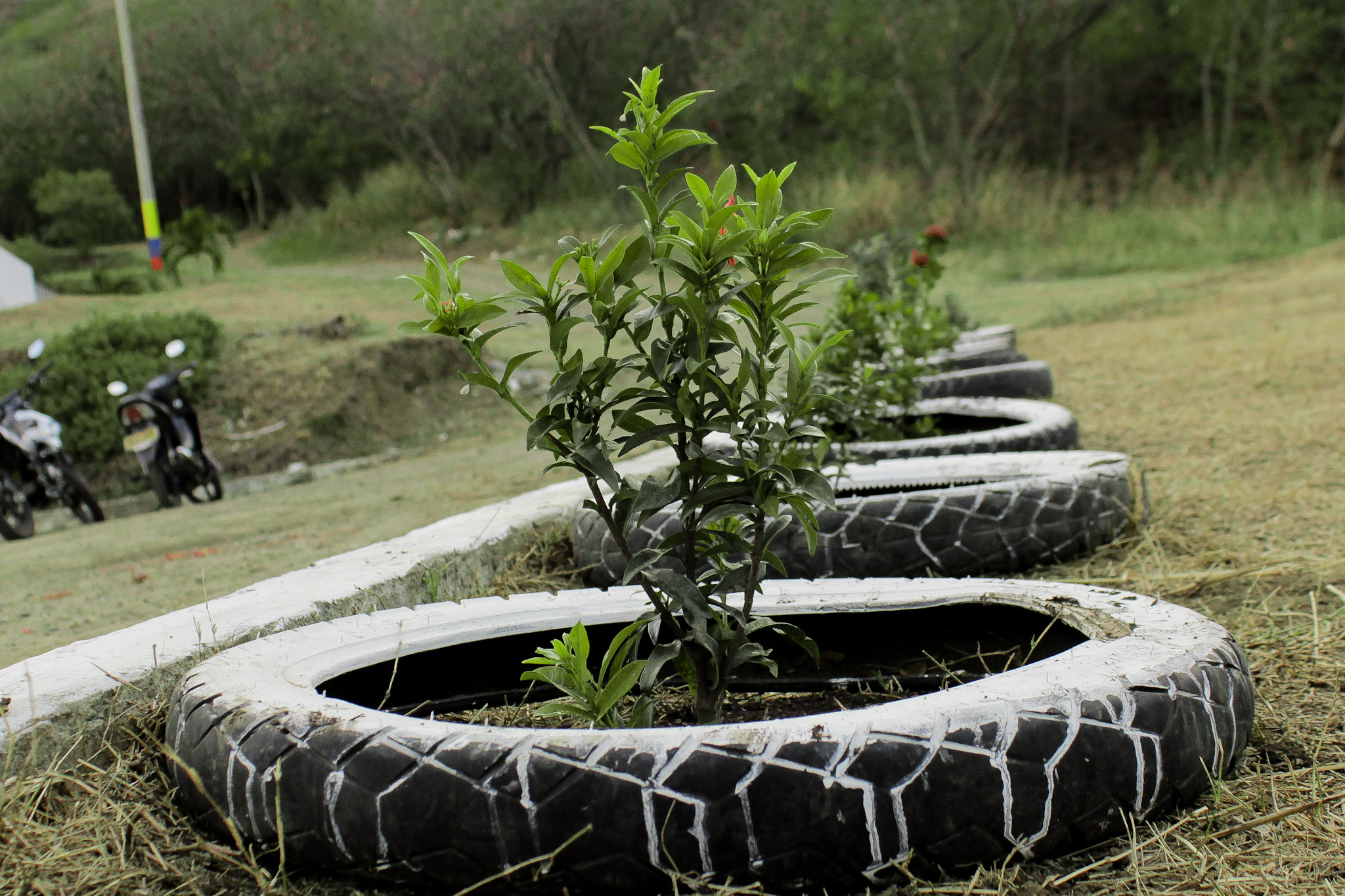 Sembratón en el Pump Track: Trocha y Ruta celebra el Día de la Tierra con 23 árboles — foto 15 de 16