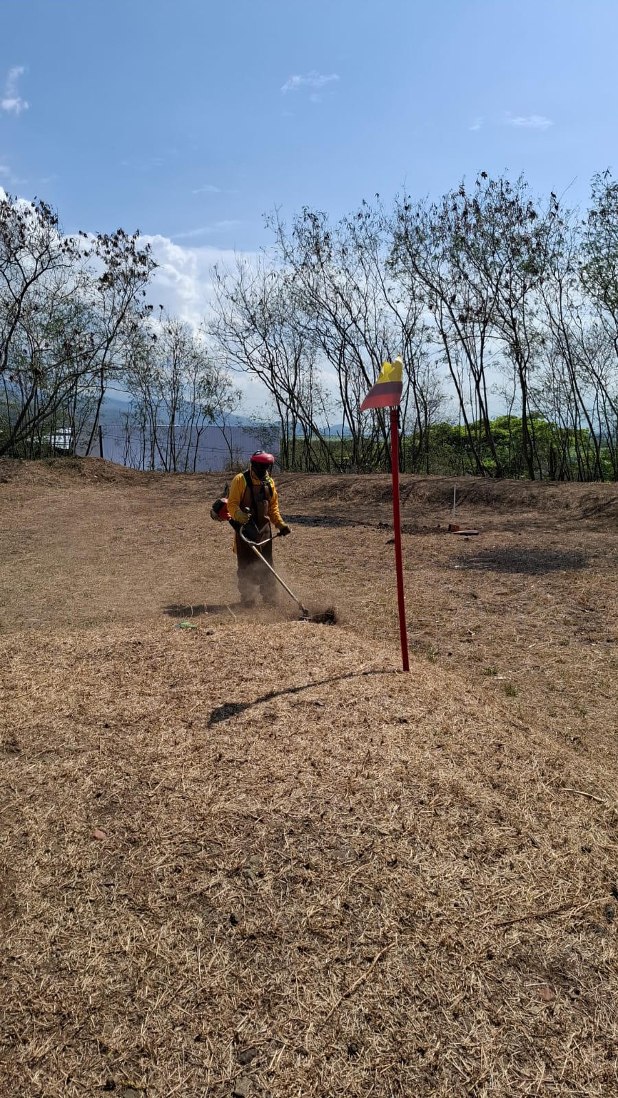 Recolección de escombros y maleza