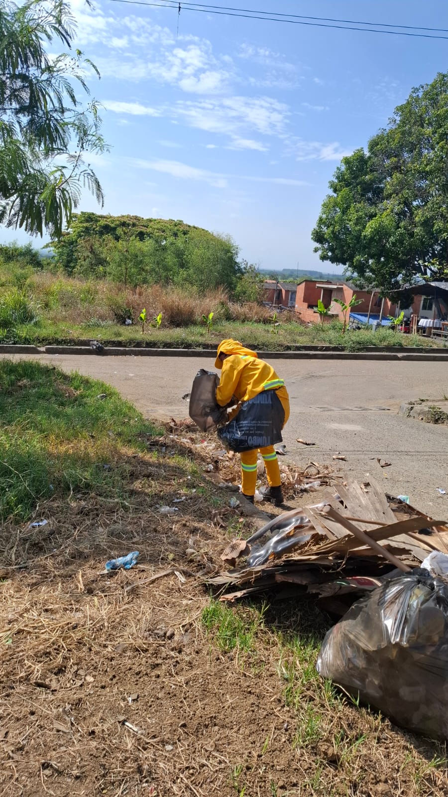 Adecuación del terreno para la siembra