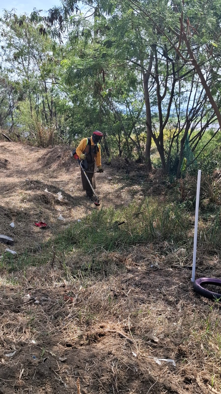 Personal de Servintegrales apoyando la jornada